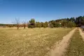 Land 3 977 m² Klecko, Poland