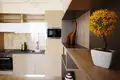 1 bedroom apartment 44 m² Boreti, Montenegro