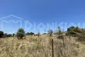 Parcelas 917 m² Nea Roda, Grecia