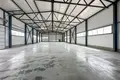 Warehouse 1 room 750 m² in Fanipal, Belarus