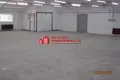 Produktion 978 m² Putryskauski sielski Saviet, Belarus