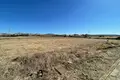 Land  Timi, Cyprus