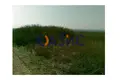 Commercial property 1 126 m² in Kosharitsa, Bulgaria
