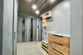 2 room apartment 46 m² Barysaw, Belarus