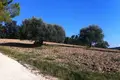 Land 320 000 m² Terni, Italy