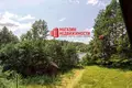 Коммерческое помещение 384 м² Незбодичский сельский Совет, Беларусь