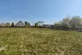 House 33 m² Turynski sielski Saviet, Belarus
