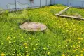 Dom 43 m² Sovhoz Pobeda, Rosja