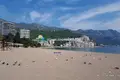 1 bedroom apartment 42 m² Boreti, Montenegro