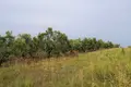 Land 1 room  Nikiti, Greece