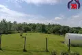 Dom 67 m² Nasilava, Białoruś