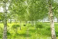 House 72 m² Kryvasielski sielski Saviet, Belarus