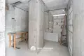 Maison 5 chambres 248 m² Kalodziscanski sielski Saviet, Bélarus