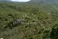 Land  Cetinje, Montenegro