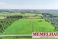 Grundstück  Raddeilen, Litauen