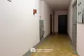 2 bedroom apartment 50 m² Minsk, Belarus