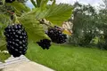 Дом 80 м² Голоцкий сельский Совет, Беларусь