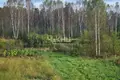 House 82 m² gorodskoj okrug Bor, Russia