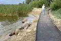 Atterrir  Zalivino, Russie