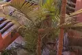 Wohnung 1 Schlafzimmer 72 m² Spanien, Spanien