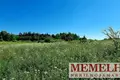 Land  Kintrimai, Lithuania