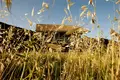 Вилла 4 спальни 390 м² Тарифа, Испания