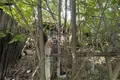 Atterrir 800 m² Sokolskoe, Russie