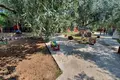 Propriété commerciale  à Skala Kallirachis, Grèce
