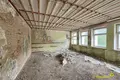 Commercial property 1 670 m² in Byerazino, Belarus