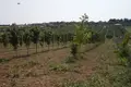 Działki 1 pokój 1 691 m² Municipality of Nea Propontida, Grecja