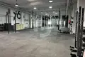Gewerbefläche 711 m² Helechosa de los Montes, Spanien