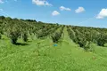 Działki 73 000 m² Opcina Koncanica, Chorwacja