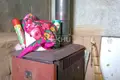 House 30 m² Gorodetsky District, Russia