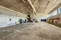 Коммерческое помещение 828 м² Витебск, Беларусь