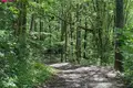 Land  Netoniai, Lithuania