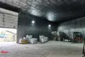 Produktion 2 273 m² Slabada, Belarus