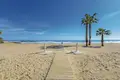 2 bedroom apartment 65 m² Torrevieja, Spain