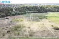 Land  Rykstyne, Lithuania