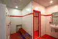 Commercial property 126 m² in Minsk, Belarus