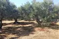 Parcelas  Aspro, Grecia