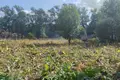   Gatchinsky District, Russia