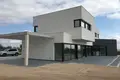 Villa de tres dormitorios 180 m² Pinoso, Španjolska