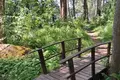 3 room house 60 m² Krasnaa Dolina, Russia