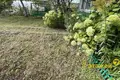Casa 45 m² Papiarnianski sielski Saviet, Belarús