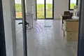 Büro 1 zimmer 100 m², Montenegro