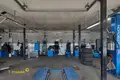 Коммерческое помещение 248 м² Минск, Беларусь
