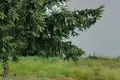 Земельные участки 433 м² Познанский повят, Польша
