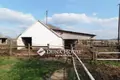 Cottage 1 bathroom 800 m² in Great Plain and North, Hungary