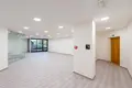 Commercial property 126 m² in Capital City of Prague, Czech Republic