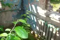 Grundstück  Kurkava, Belarus
